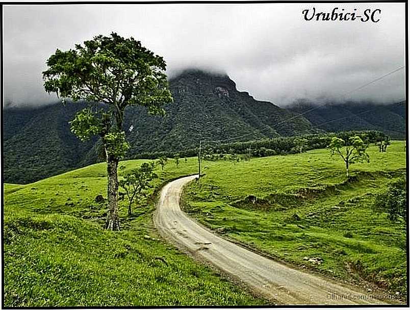 URUBICI - SC - URUBICI - SC