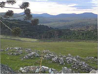 PAISAGENS, POR MAURICIO DARLAN BIZ - URUBICI - SC