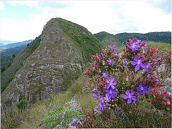 MANAC DO CAMPO EM URUBICI-SC-FOTO:PAULO FARINA - URUBICI - SC