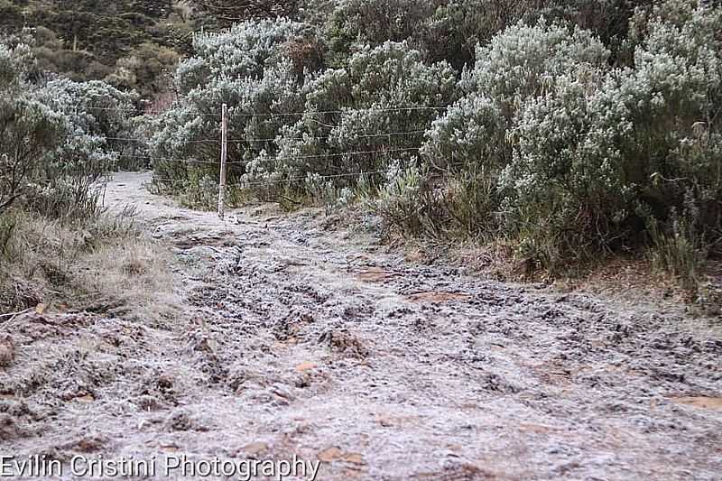 IMAGEM DE QUEDA DE NEVE EM 2022, NA CIDADE DE URUPEMA/SC - POR EVILIN CRISTINI - URUPEMA - SC