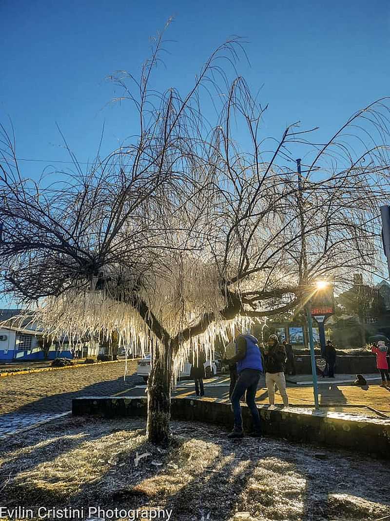 IMAGENS DE QUEDA DE NEVE EM 2022, NA CIDADE DE URUPEMA/SC - POR EVILIN CRISTINI - URUPEMA - SC