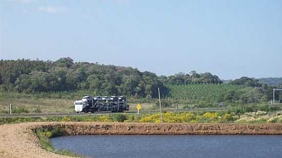 LAGO NA BEIRA DA RODOVIA EM VARGEM BONITA-SC-FOTO:THIAGO DAMBROS - VARGEM BONITA - SC