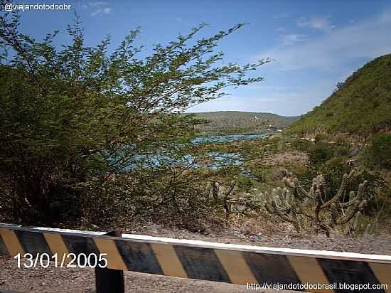 CANIND DE SO FRANCISCO-SE-RIO SO FRANCISCO-FOTO:SERGIO FALCETTI - CANIND DE SO FRANCISCO - SE