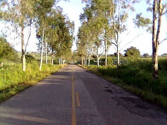 ESTRADA DE ACESSO-FOTO:GNISON OLIVEIRA TRI - CEDRO DE SO JOO - SE