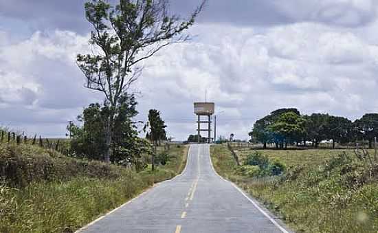 RODOVIA PRXIMO AO TREVO DE CUMBE-SE-FOTO:SERGIO GOMES DE MORA - CUMBE - SE