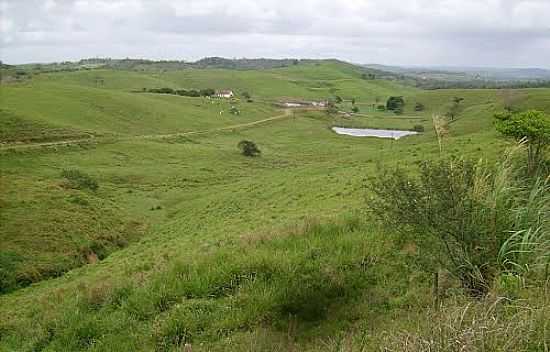 VISTA DA REGIO E ESTRADA EM DIVINA PASTORA-SE-FOTO:SUPER JOO - DIVINA PASTORA - SE