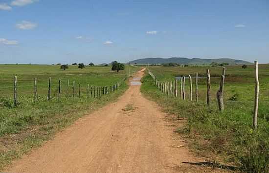 ESTRADA DE TERRA-FOTO:ALMEIDA BISPO - FREI PAULO - SE