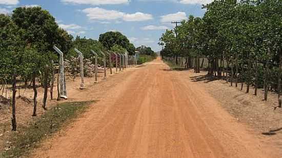 RUA-FOTO:ALMEIDA BISPO  - FREI PAULO - SE