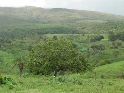 SERRA DE ITABAIANA, POR ALYSSON - ITABAIANA - SE