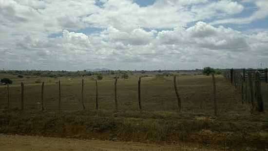 CAMPO DE PASTAGEM EM P DO VEADO, ITABAIANA-SE-FOTO:MARCOS_MBS2012 - ITABAIANA - SE