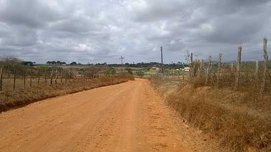 CHEGANDO EM P DO VEADO, ITABAIANA-SE-FOTO:MARCOS_MBS2012 - ITABAIANA - SE