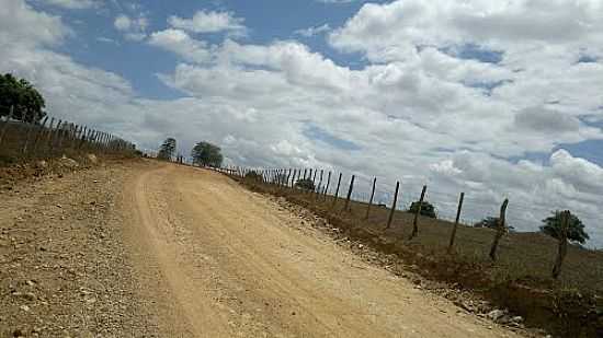 CURVA DA ESTRADA DE ACESSO PARA ITABAIANA-SE-FOTO:MARCOS_MBS2012 - ITABAIANA - SE