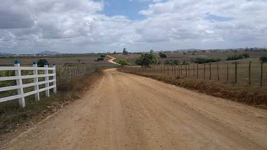 ESTRADA DE ACESSO PARA ITABAIANA-SE-FOTO:MARCOS_MBS2012 - ITABAIANA - SE