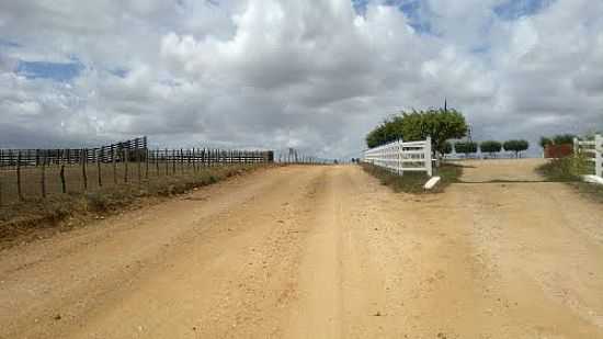 ESTRADA DE ACESSO PARA P DO VEADO EM ITABAIANA-SE-FOTO:MARCOS_MBS2012 - ITABAIANA - SE