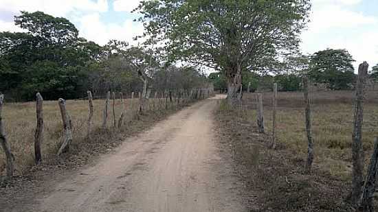 ESTRADA DO POVOADO DE GUA BRANCA  EM ITABAIANA-SE-FOTO:MARCOS_MBS2012 - ITABAIANA - SE