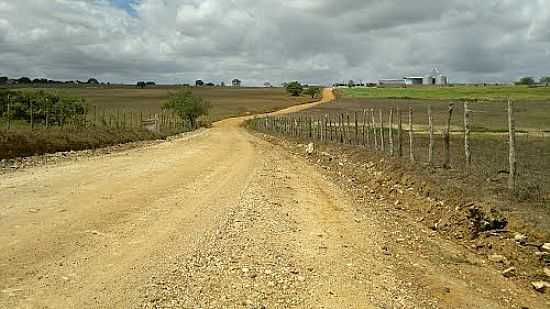 ESTRADA DO POVOADO P DO VEADO EM ITABAIANA-SE-FOTO:MARCOS_MBS2012 - ITABAIANA - SE