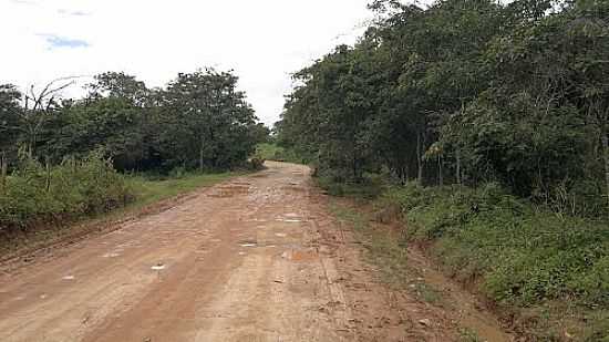 PONTE EM P DO VEADO EM DIREO  VRZEA DO GAMA EM ITABAIANA-SE-FOTO:MARCOS_MBS2012 - ITABAIANA - SE