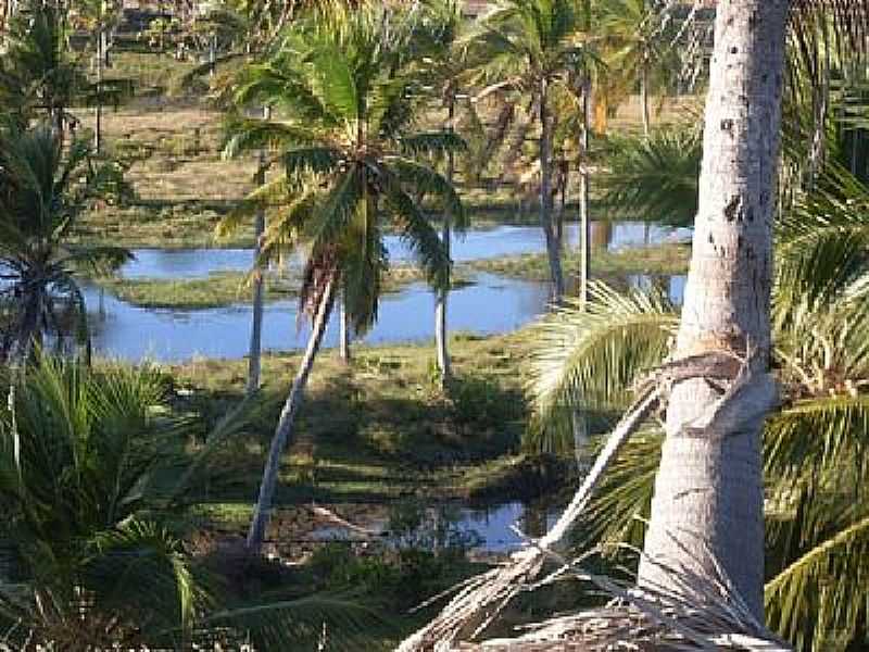 PRAIA DA CAUEIRA - - ITAPORANGA D'AJUDA - SE