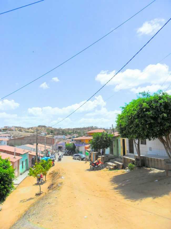 NOVO TRIUNFO.BA, POR CLAUDIO BATISTA - NOVO TRIUNFO - BA