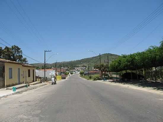 MACAMBIRA-FOTO:ALMEIDA BISPO - MACAMBIRA - SE