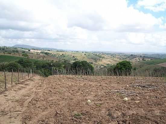 VISTA DA REGIO DE MALHADOR-SE-FOTO:MARCIO_ANDREI - MALHADOR - SE