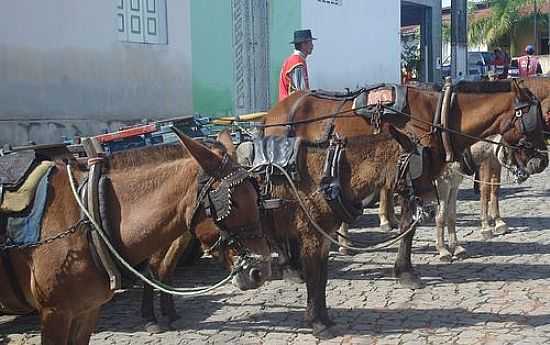 O TXI DOS CARRETOS-FOTO:SERGIO LUIZ ZAMPIERI - MONTE ALEGRE DE SERGIPE - SE