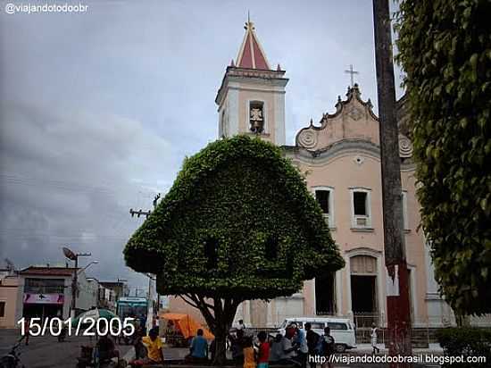 RVORES CORTADAS DECORADAS NA PRAA NA MATRIZ EM NEPOLIS-SE-FOTO:SERGIO FALCETTI - NEPOLIS - SE
