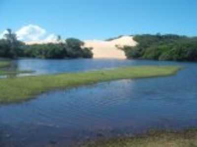 PANTANAL DE PACATUBA-SE, POR BRUNO FRANA - PACATUBA - SE