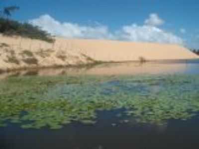 PANTANAL DE PACATUBA-SE, POR BRUNO FRANA - PACATUBA - SE