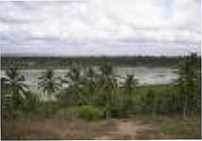 PANTANAL DE PACATUBA-SE, POR BRUNO FRANA - PACATUBA - SE
