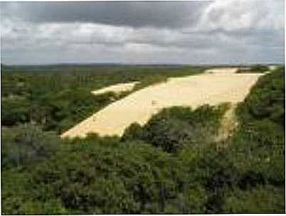 PANTANAL DE PACATUBA-SE, POR BRUNO FRANA - PACATUBA - SE