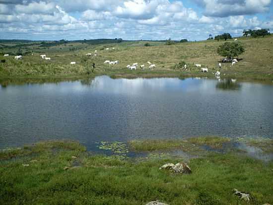 LAGO E PASTO-FOTO:RAELISSON  - PEDRINHAS - SE