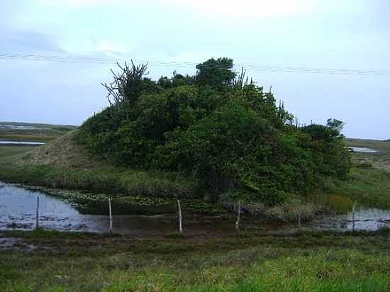 ILHA VERDE EM PIRAMBU-SE-FOTO:RICHARD OLIVA - PIRAMBU - SE