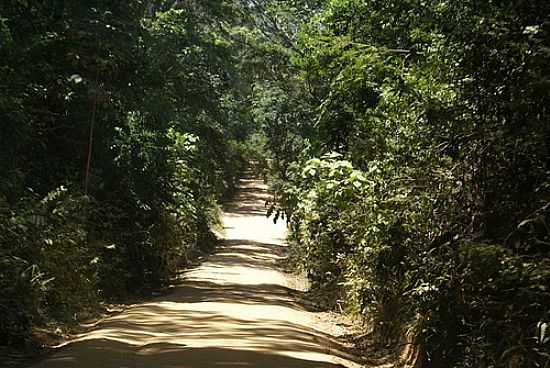 ESTRADA PARA O POVOADO CRASTO-FOTO:CARLLOS.COSTA  - SANTA LUZIA DO ITANHY - SE