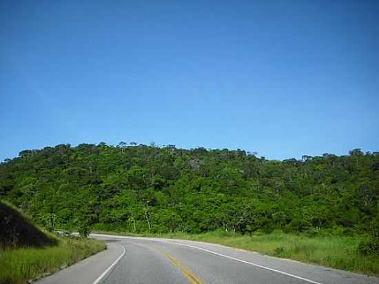 RODOVIA, AO FUNDO MATA ATLNTICA REA PRESERVADA-FOTO:CARLOS AUGUSTO SIQUE - SANTA LUZIA DO ITANHY - SE