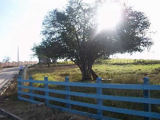 REA RURAL EM TELHA-FOTO:NILMAIA - TELHA - SE