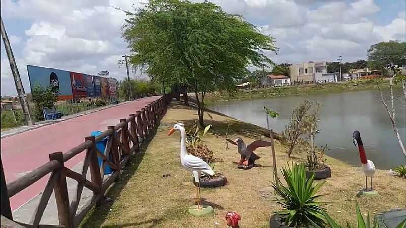 LAGOA DA PORTA EM TOBIAS BARRETO - SE - TOBIAS BARRETO - SE