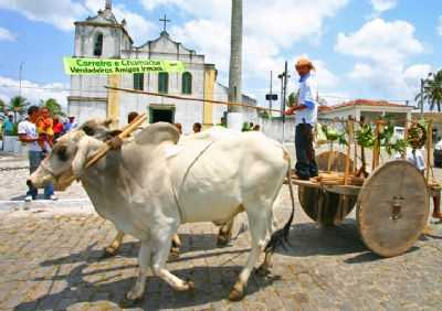 A FESTA DO CARRO DE BOIS - TOMAR DO GERU - SE