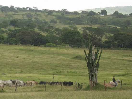 REA RURAL EM TOMAR DO GERU-FOTO:CLYT00 - TOMAR DO GERU - SE