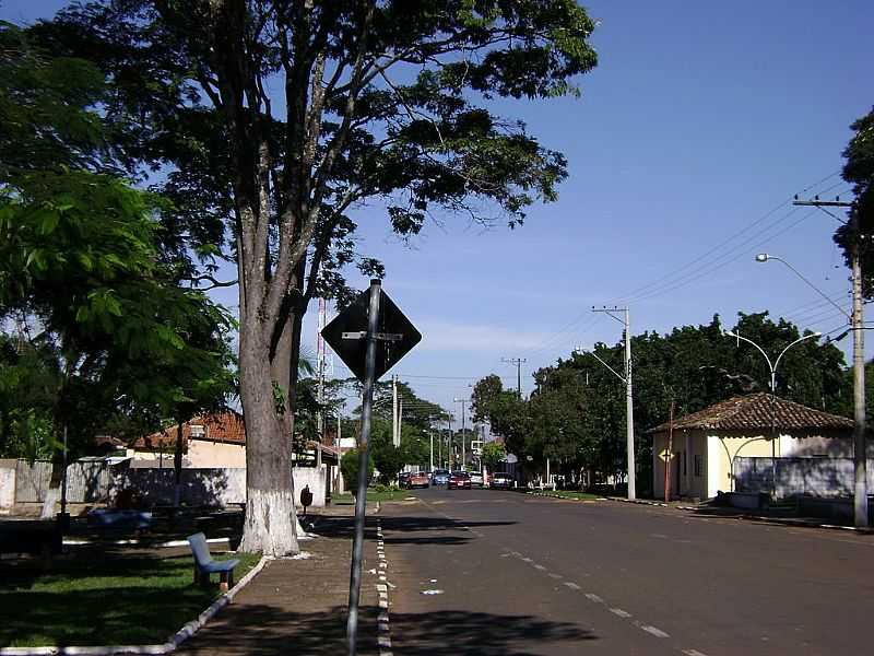 GUAS VERMELHAS-SP-AVENIDA PRINCIPAL-FOTO:ROSELITO FVERO DA SILVA - GUA VERMELHA - SP