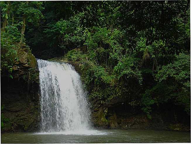 CASCATINHA, POR MARCIO ROVER - GUAS DA PRATA - SP