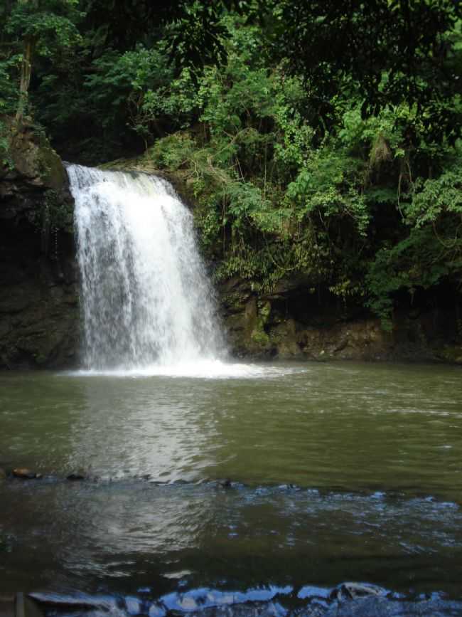 CASCATINHA, POR MARCIO ROVER - GUAS DA PRATA - SP