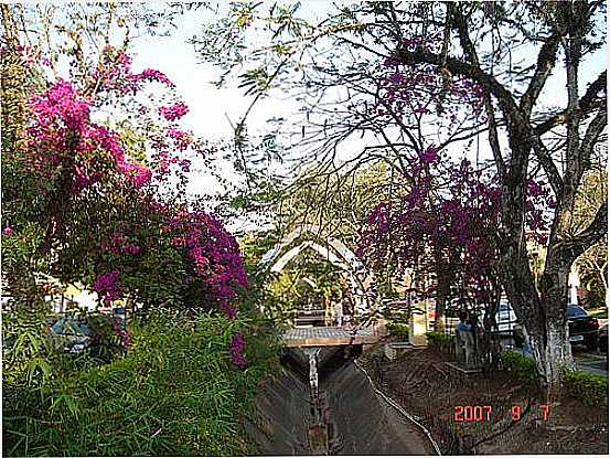 PRIMAVERA NO CENTRO DE GUAS DE SO PEDRO-FOTO:NILSON KABUKI - GUAS DE SO PEDRO - SP