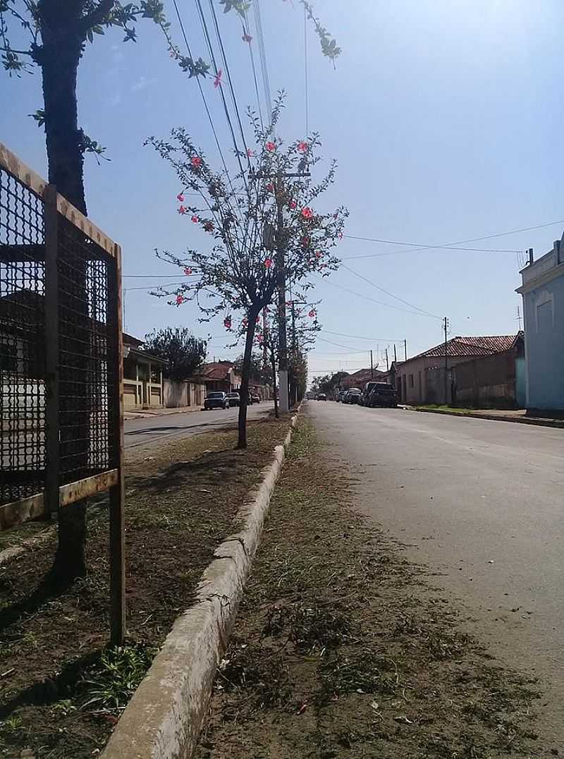 IMAGENS DA LOCALIDADE DE AJAPI DISTRITO DE RIO CLARO - SP - AJAPI - SP