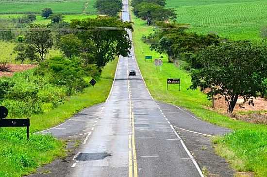 ESTRADA DE ALTAIR-FOTO:CELSO ORTOLAN - ALTAIR - SP