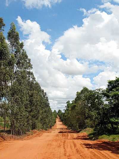 ALTO ALEGRE POR EDUARDO M.P.DANTAS - ALTO ALEGRE - SP