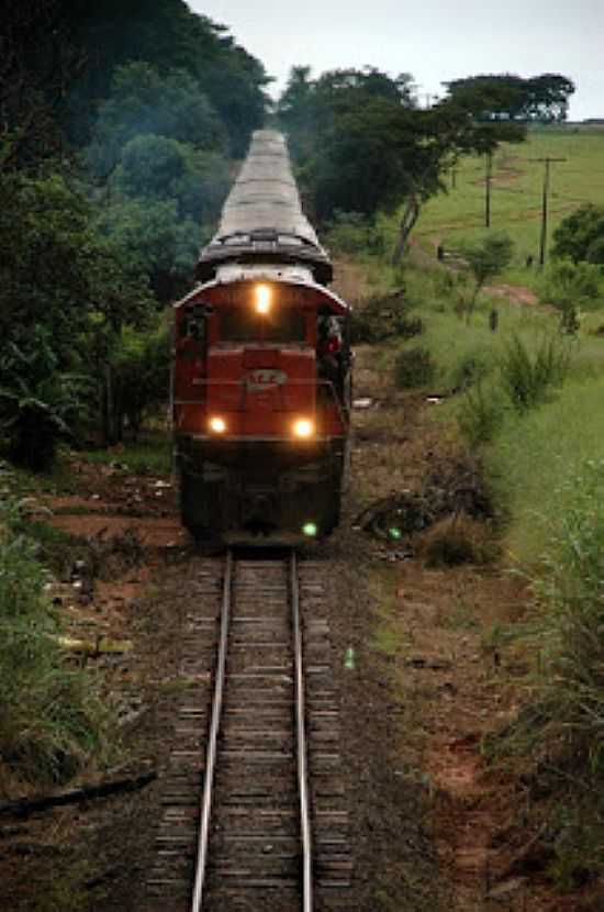 AMANDABA-SP-VIA FRREA E LOCOMOTIVA-FOTO:DINHO RESLER - AMANDABA - SP