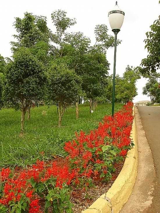 JARDIM BOTNICO EM AMERICANA-FOTO:JAMES KING PYLES RIB - AMERICANA - SP
