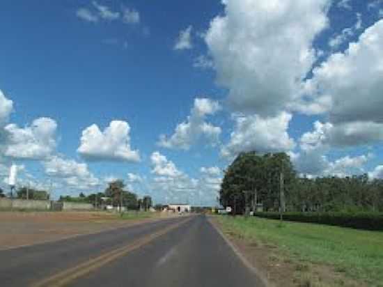 RODOVIA EM AMRICO BRASILIENSE-FOTO:ERI MARTINS - AMRICO BRASILIENSE - SP