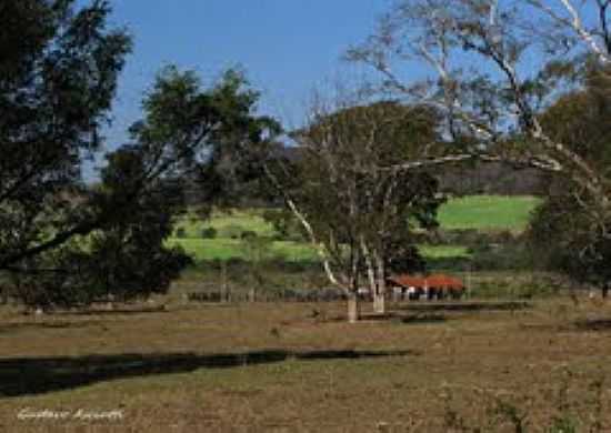 ZONA RURAL DE AMRICO BRASILIENSE-FOTO:GUSTAVO_ASCIUTTI - AMRICO BRASILIENSE - SP